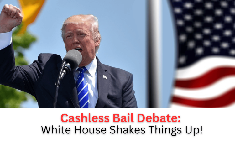 Protest sign outside courthouse against cashless bail policies.
